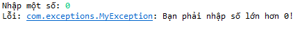 exception_13_1